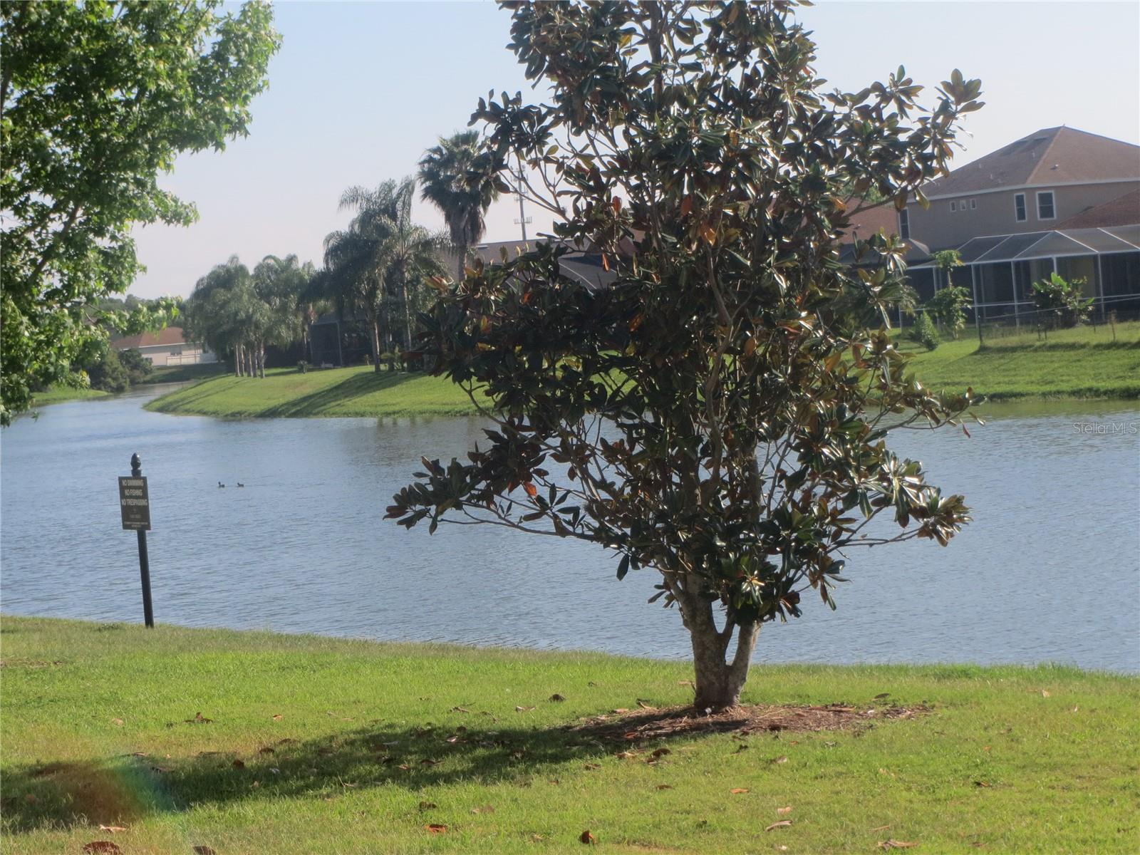 6925 TOWERING SPRUCE DR, RIVERVIEW, FL, 33578