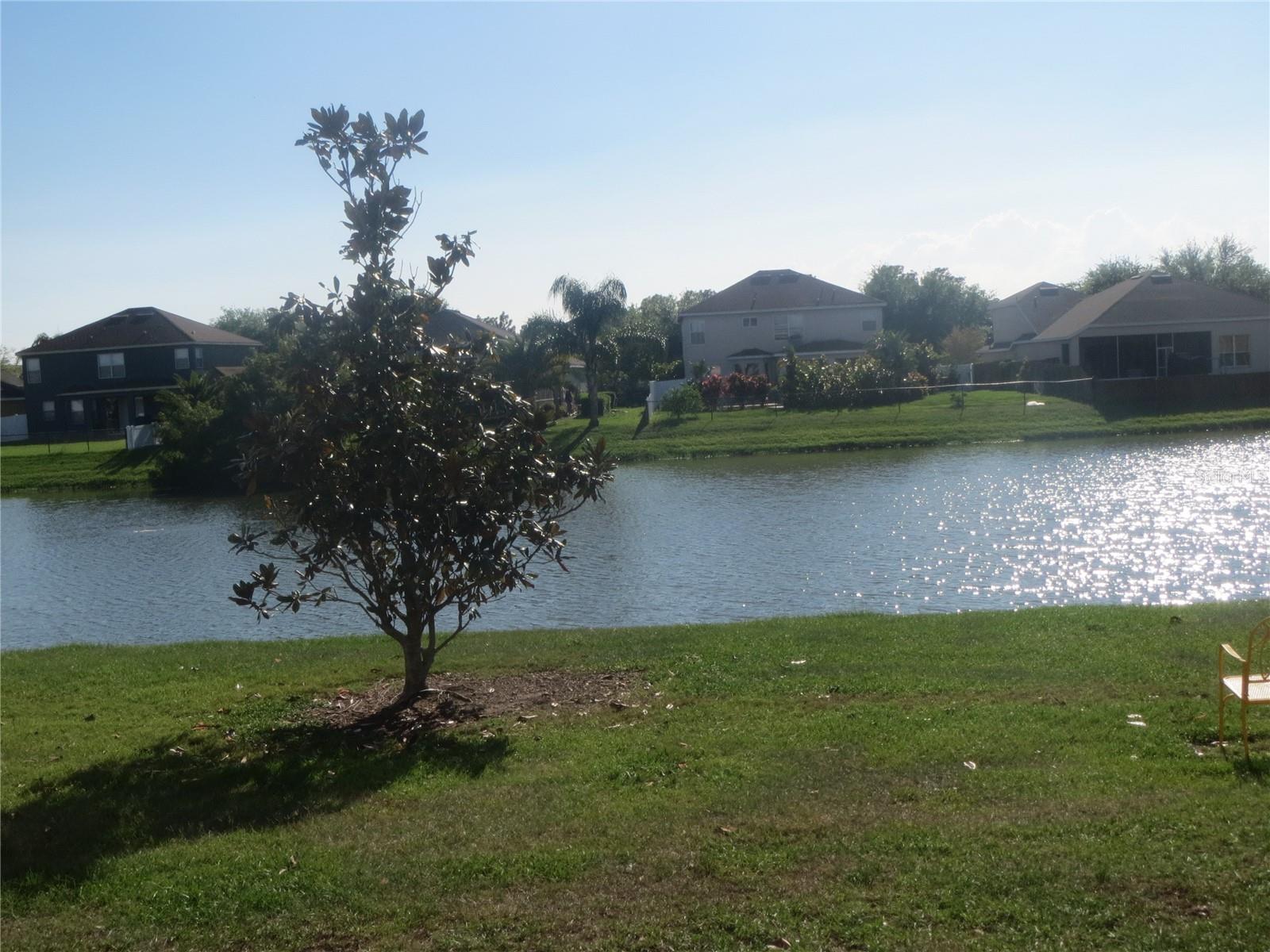 6925 TOWERING SPRUCE DR, RIVERVIEW, FL, 33578