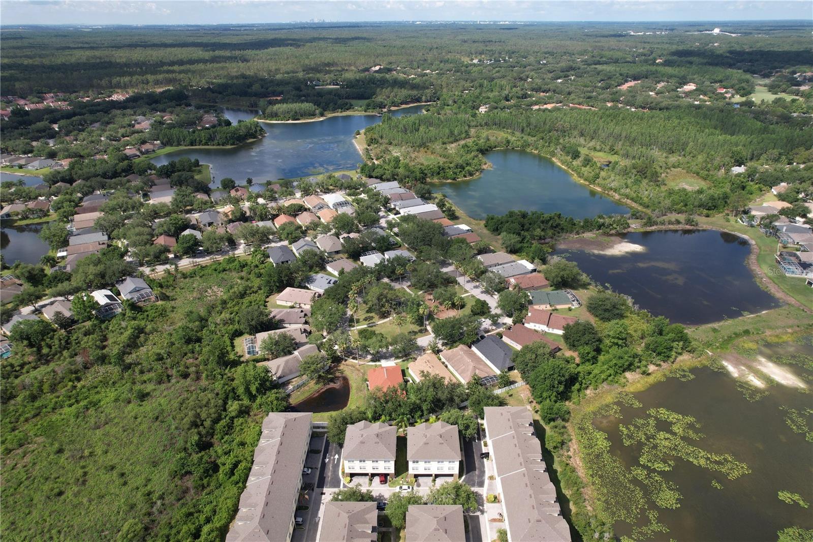 10144 ARBOR RUN DR #31, TAMPA, FL, 33647