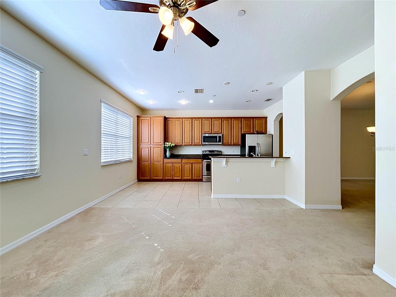 10144 ARBOR RUN DR #31, TAMPA, FL, 33647