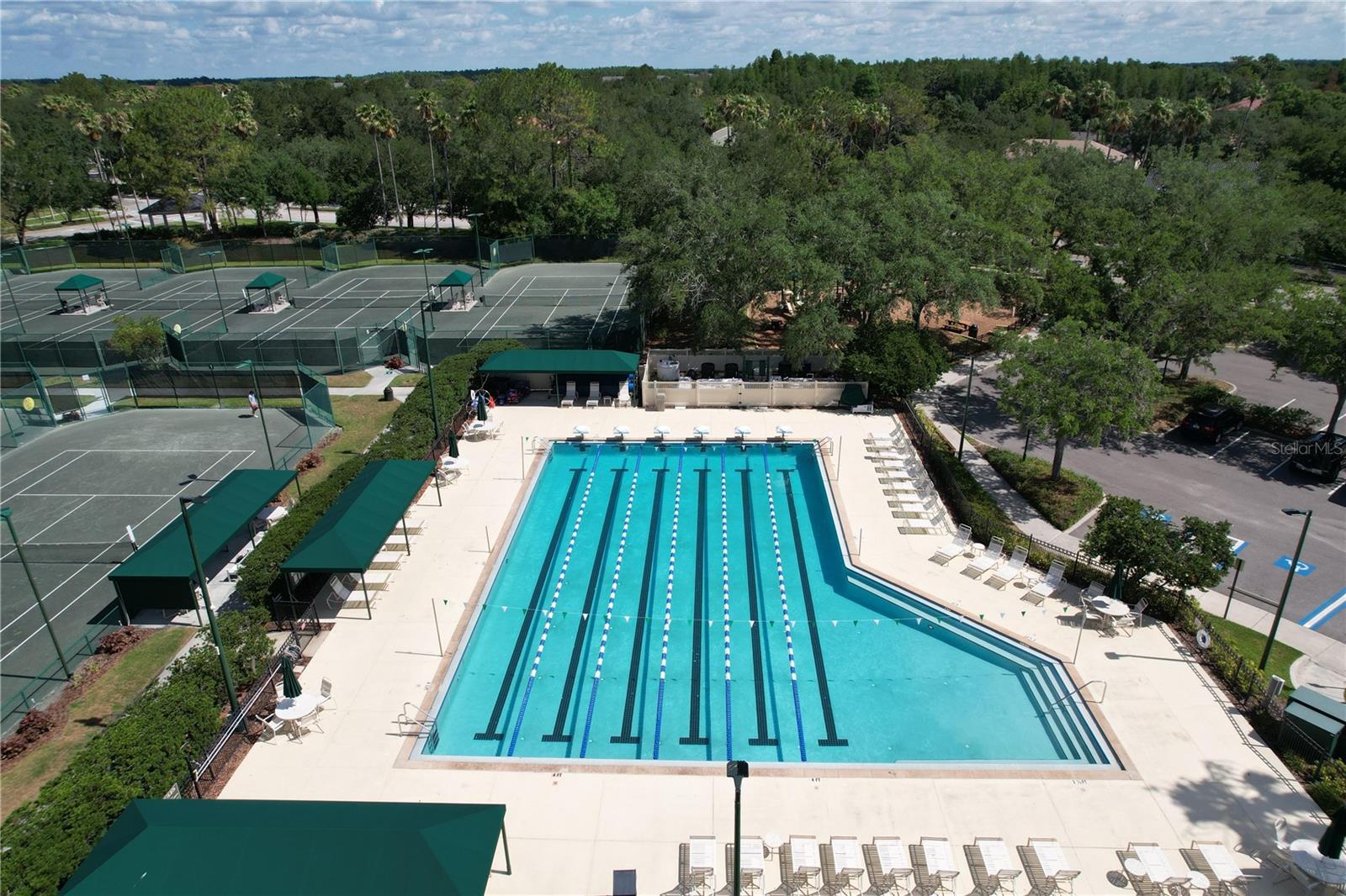 10144 ARBOR RUN DR #31, TAMPA, FL, 33647