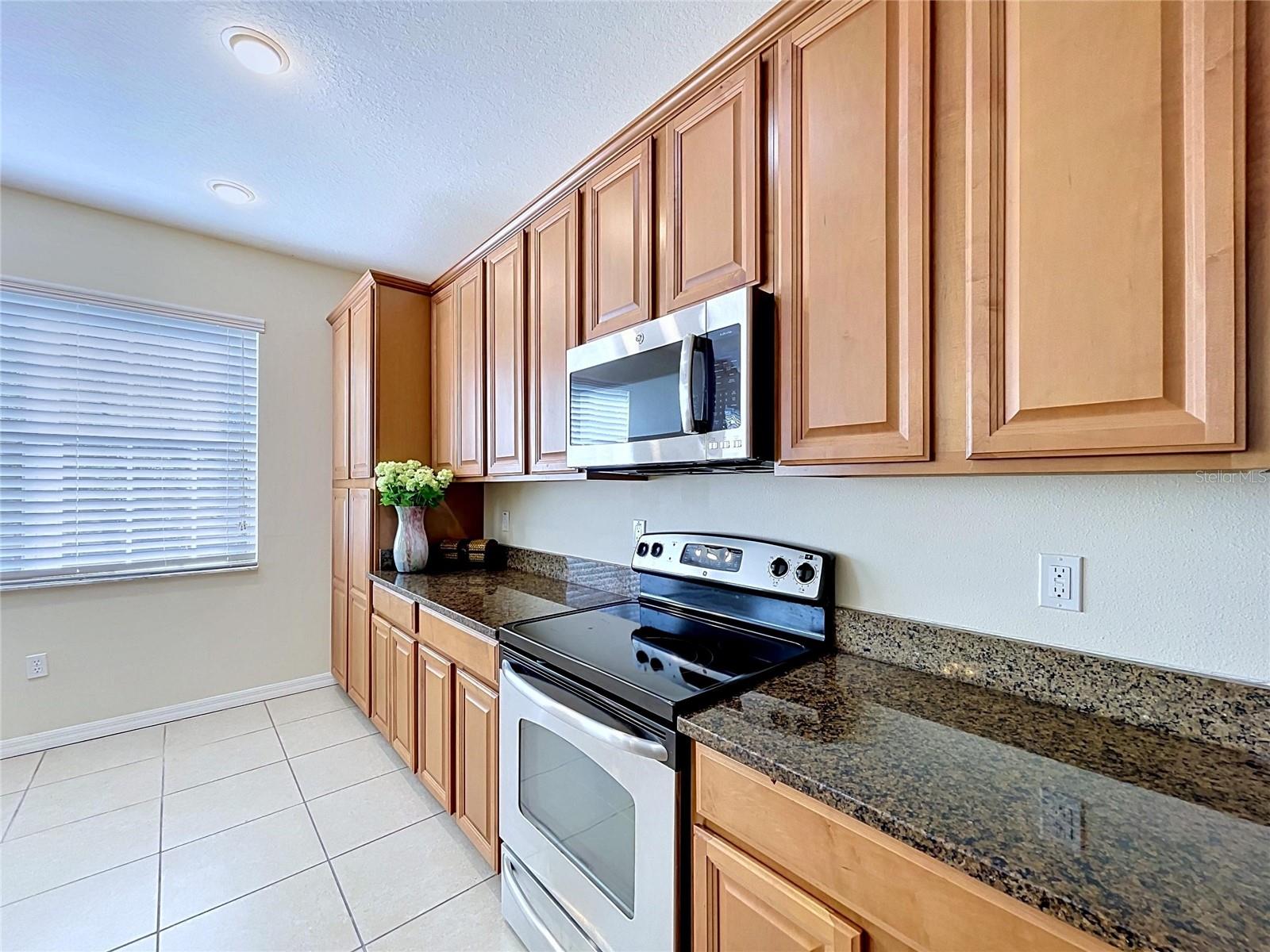 10144 ARBOR RUN DR #31, TAMPA, FL, 33647