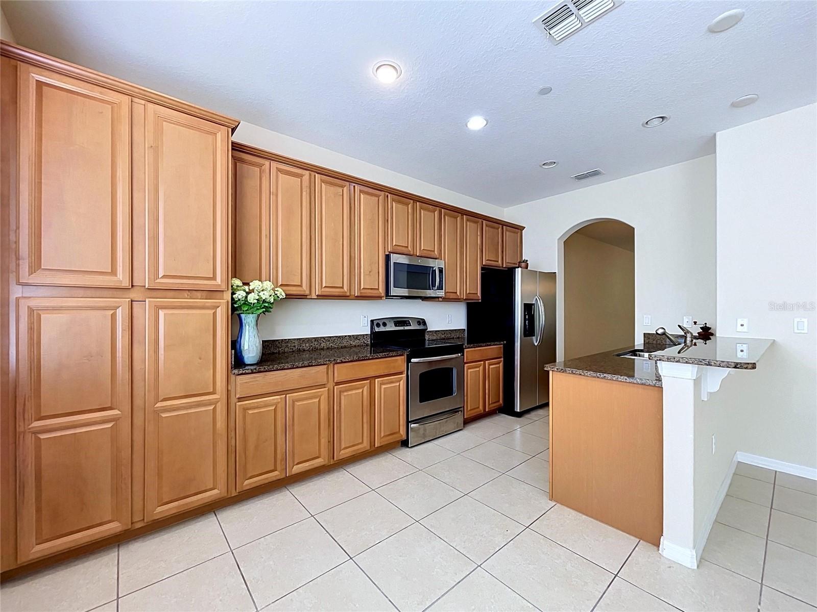 10144 ARBOR RUN DR #31, TAMPA, FL, 33647