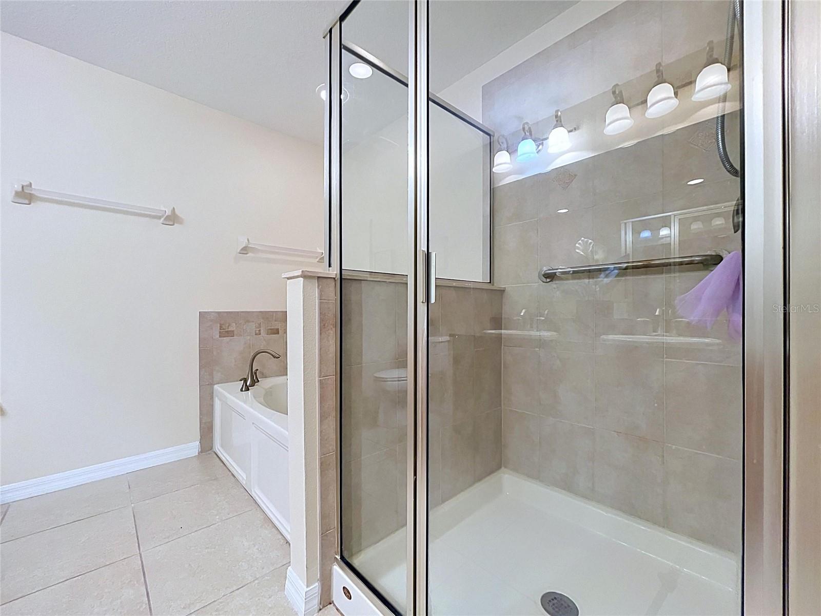 10144 ARBOR RUN DR #31, TAMPA, FL, 33647