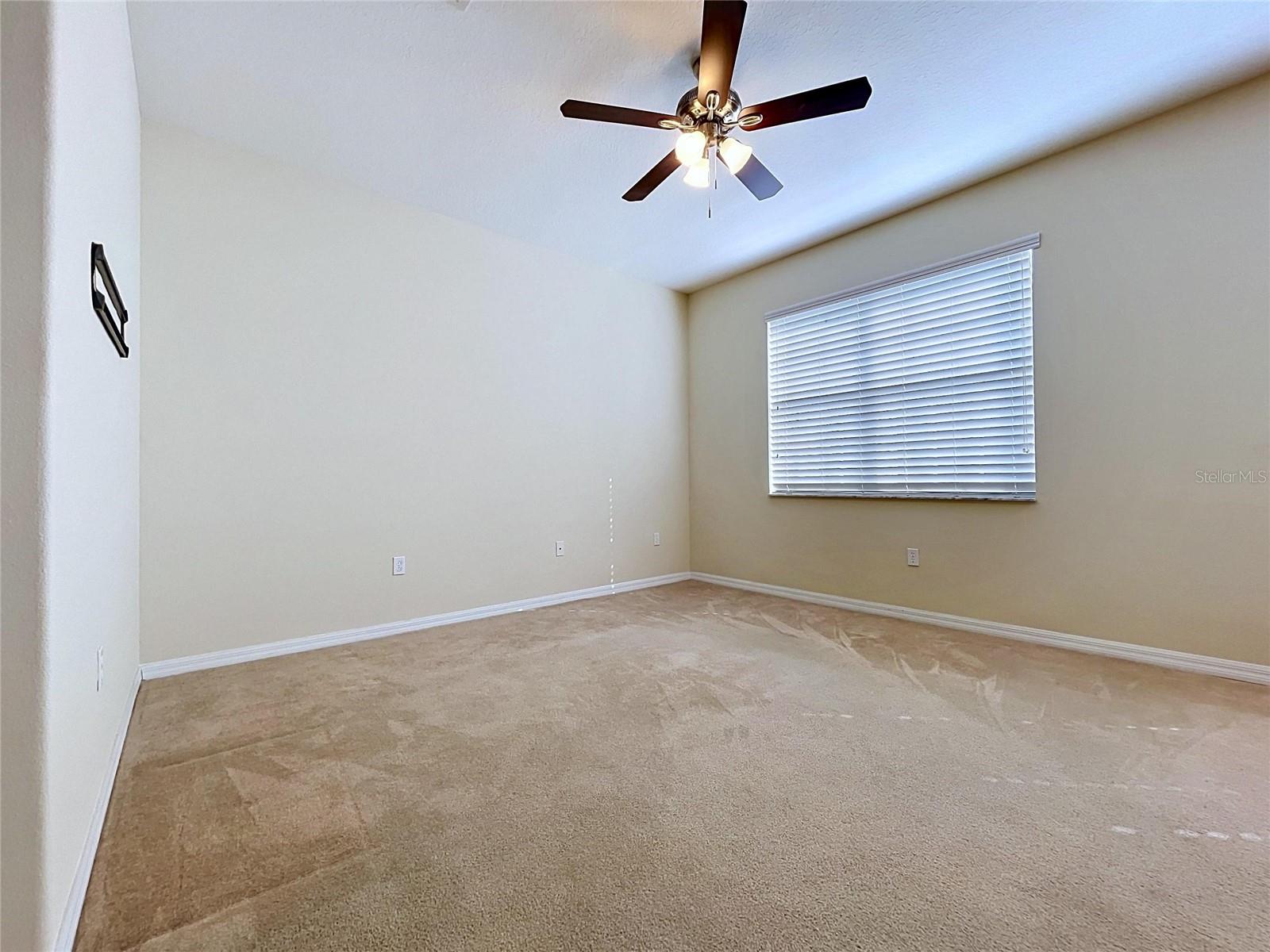 10144 ARBOR RUN DR #31, TAMPA, FL, 33647