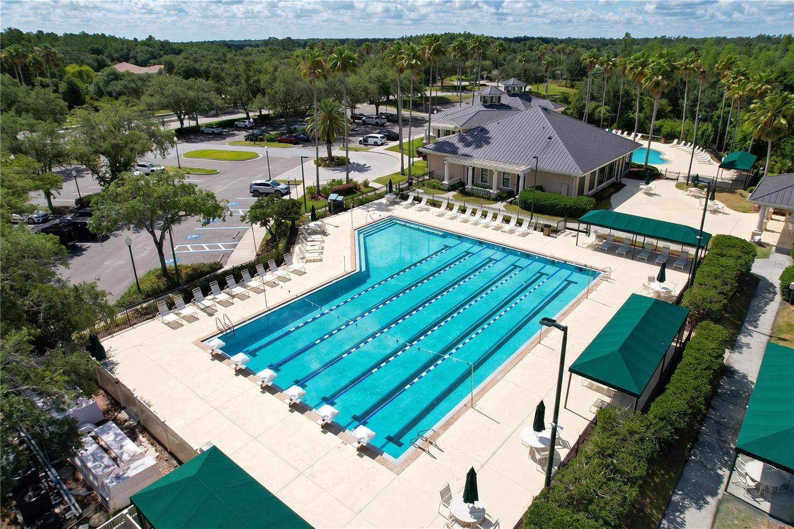 10144 ARBOR RUN DR #31, TAMPA, FL, 33647