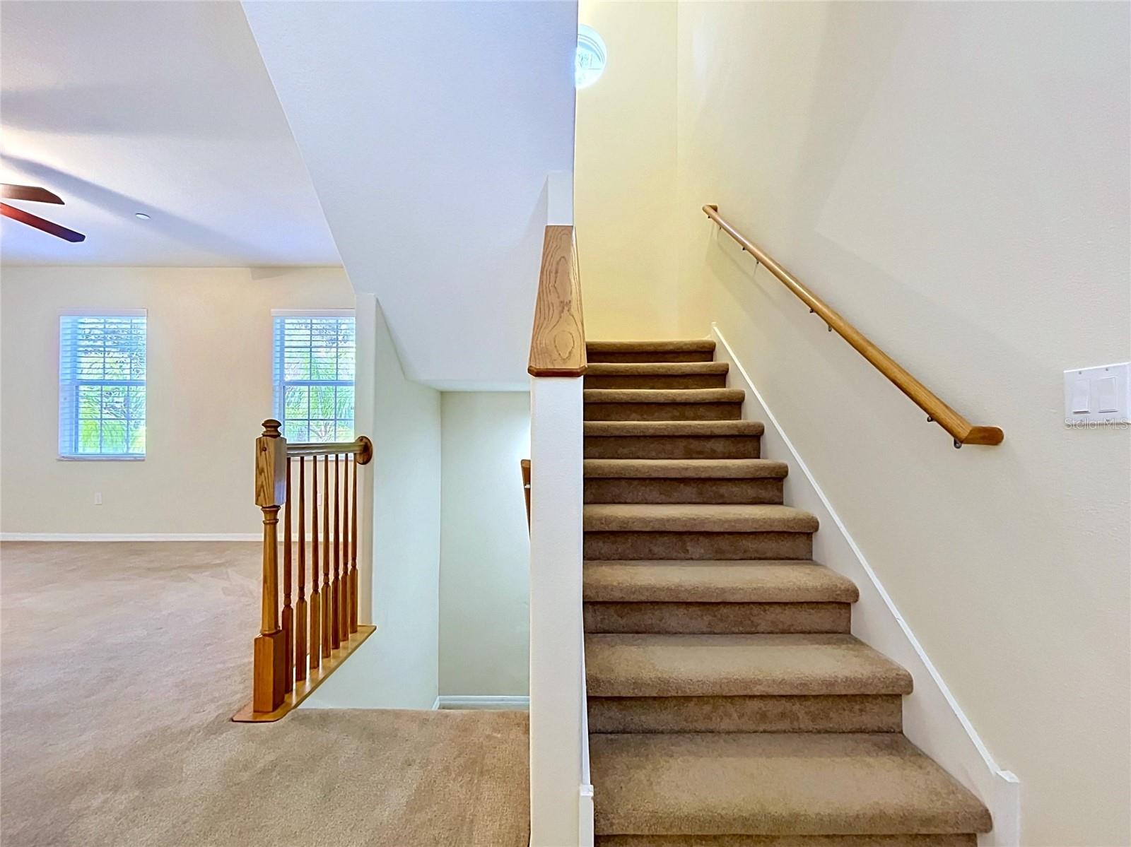 10144 ARBOR RUN DR #31, TAMPA, FL, 33647