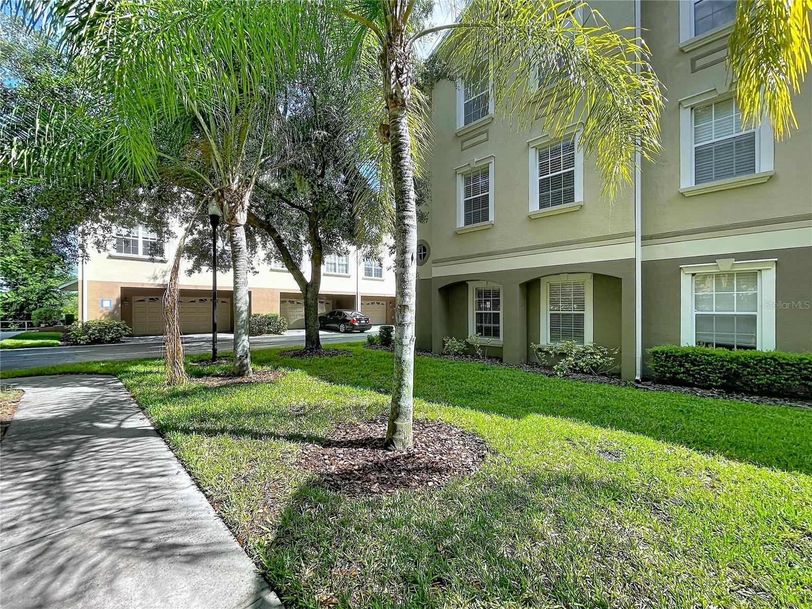 10144 ARBOR RUN DR #31, TAMPA, FL, 33647