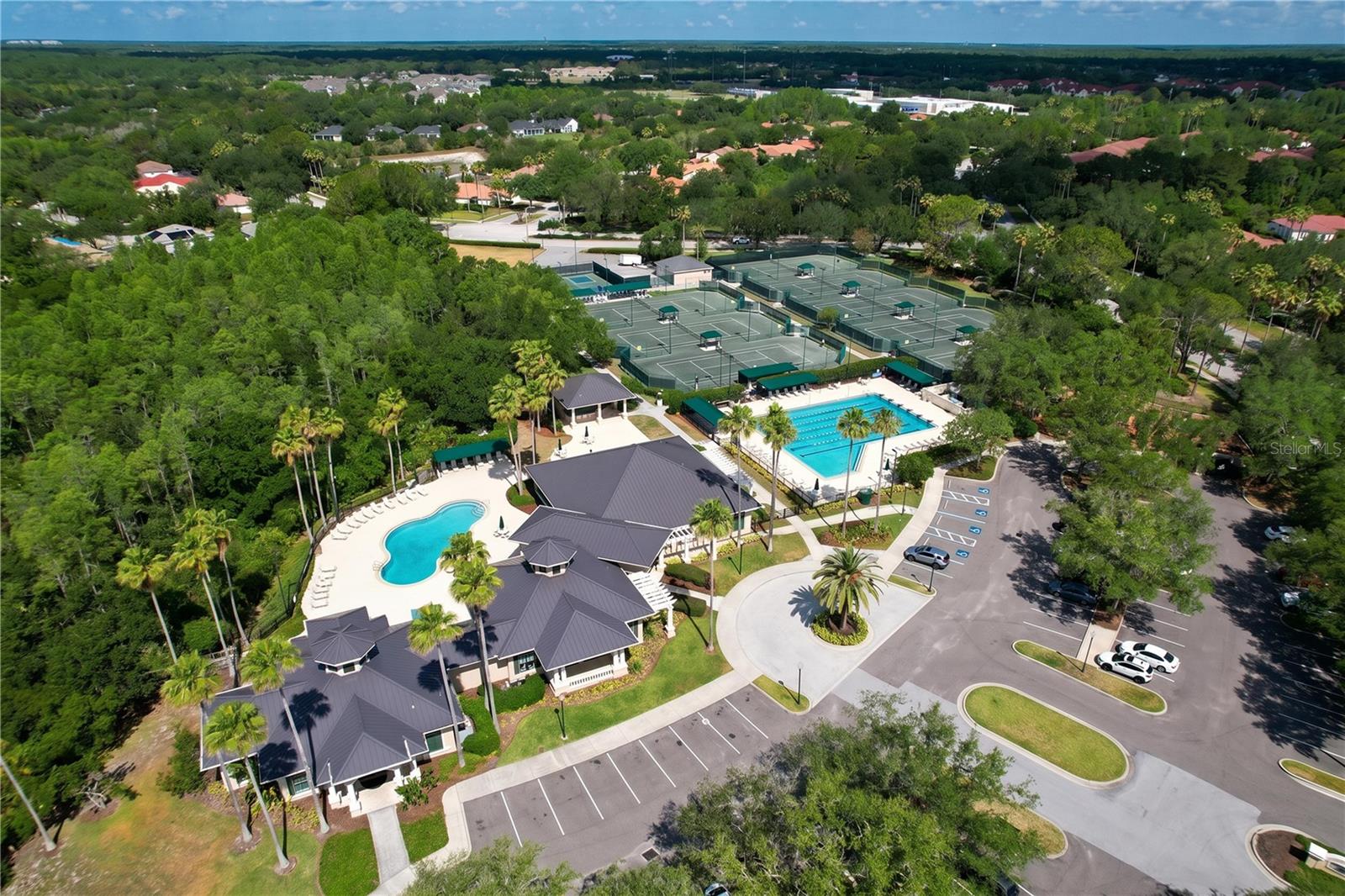 10144 ARBOR RUN DR #31, TAMPA, FL, 33647