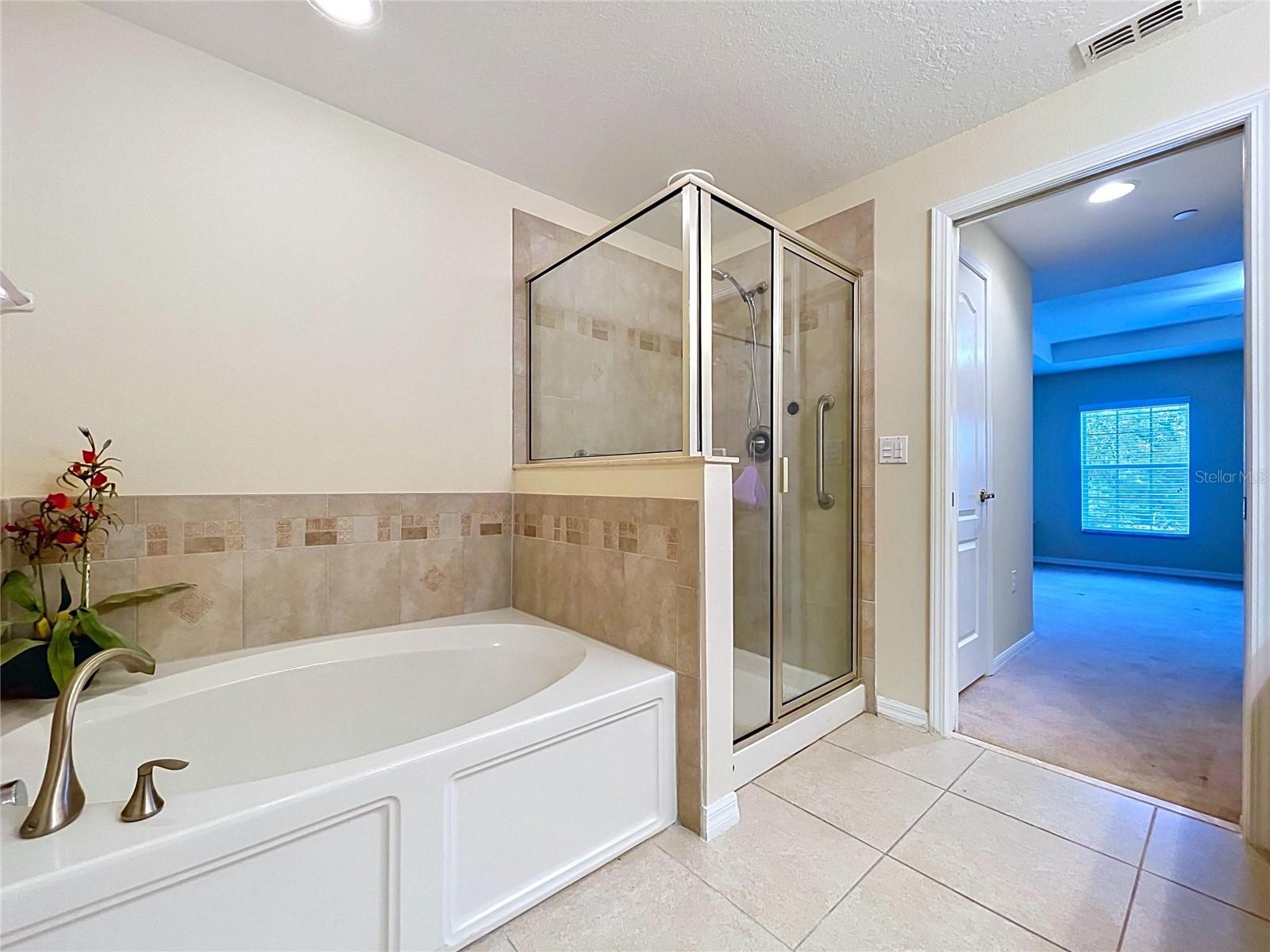 10144 ARBOR RUN DR #31, TAMPA, FL, 33647