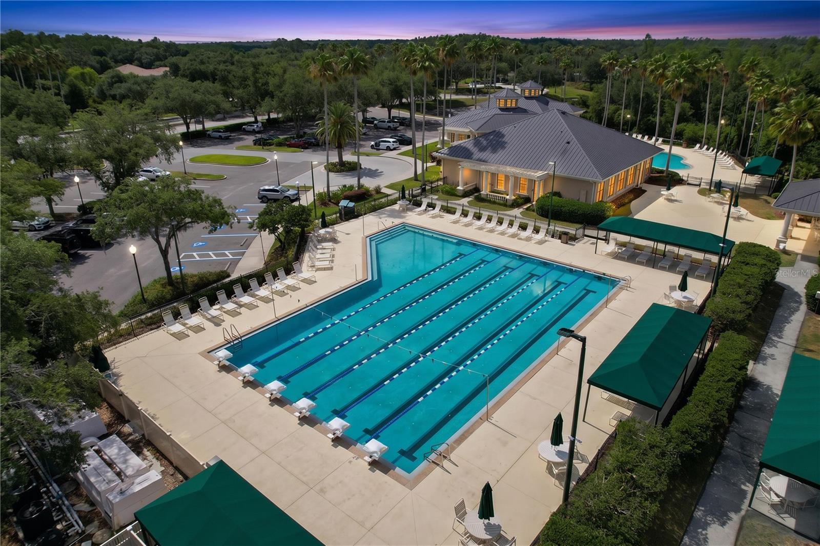 10144 ARBOR RUN DR #31, TAMPA, FL, 33647