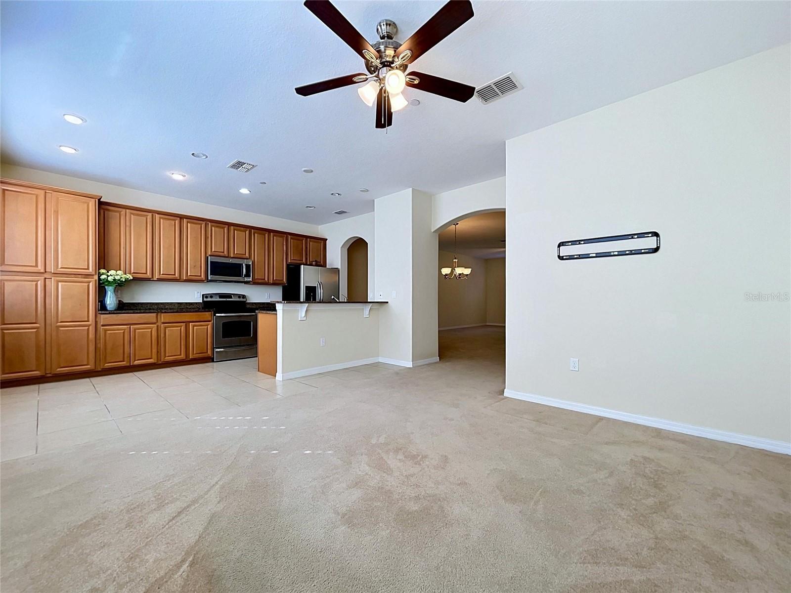 10144 ARBOR RUN DR #31, TAMPA, FL, 33647