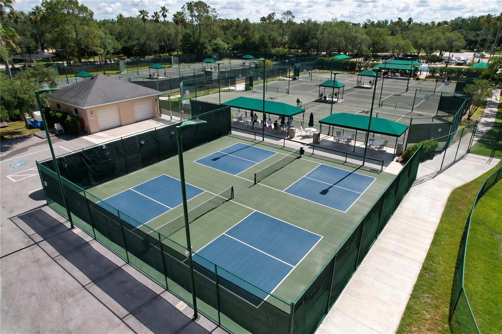 10144 ARBOR RUN DR #31, TAMPA, FL, 33647