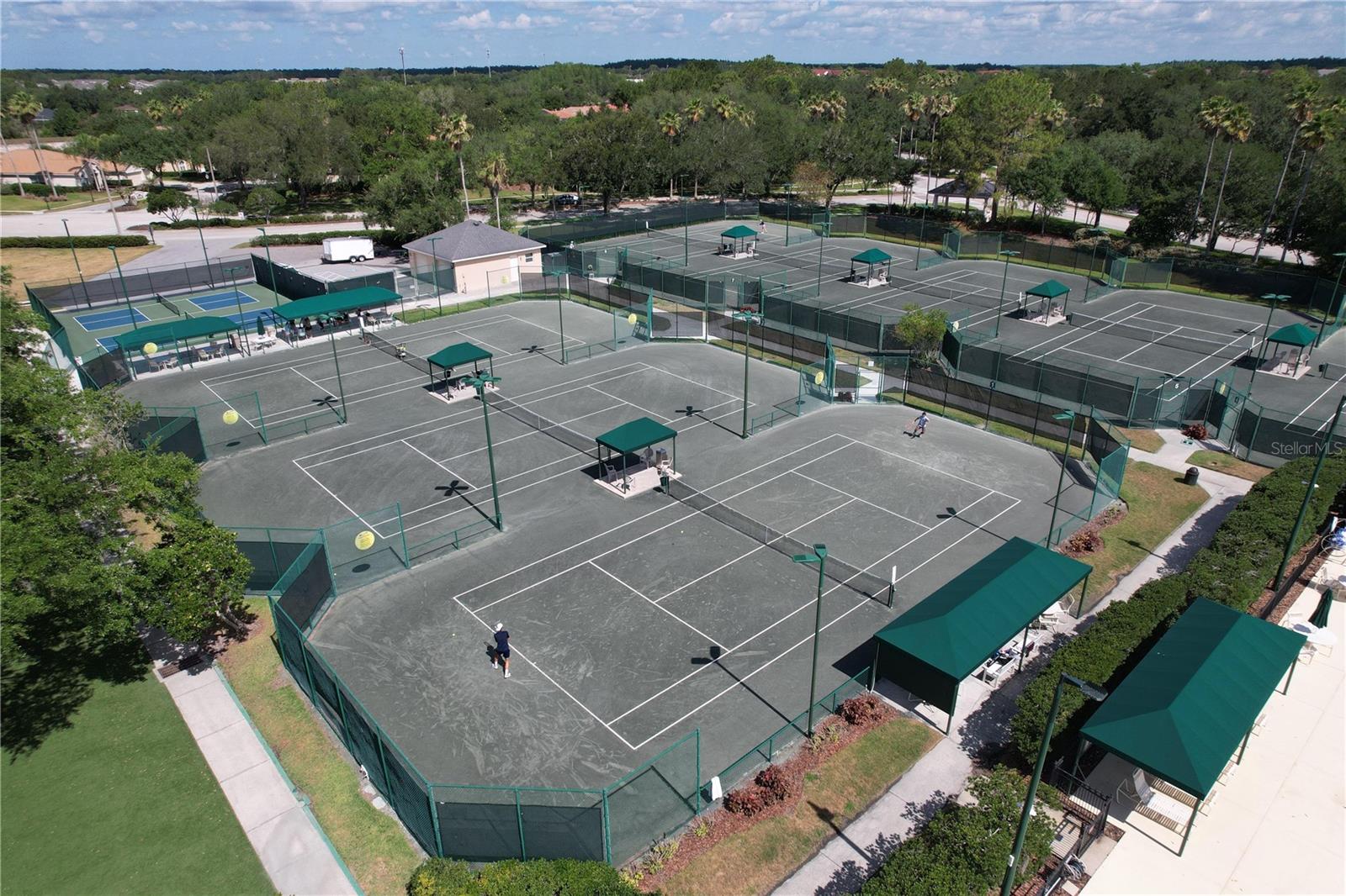 10144 ARBOR RUN DR #31, TAMPA, FL, 33647