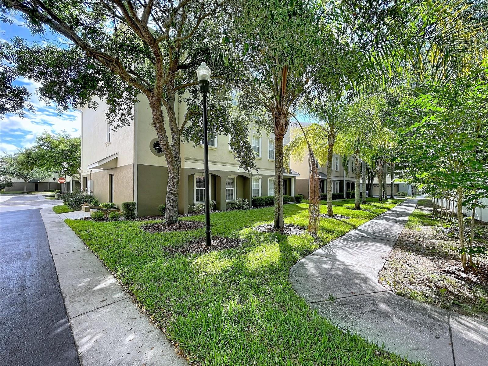 10144 ARBOR RUN DR #31, TAMPA, FL, 33647
