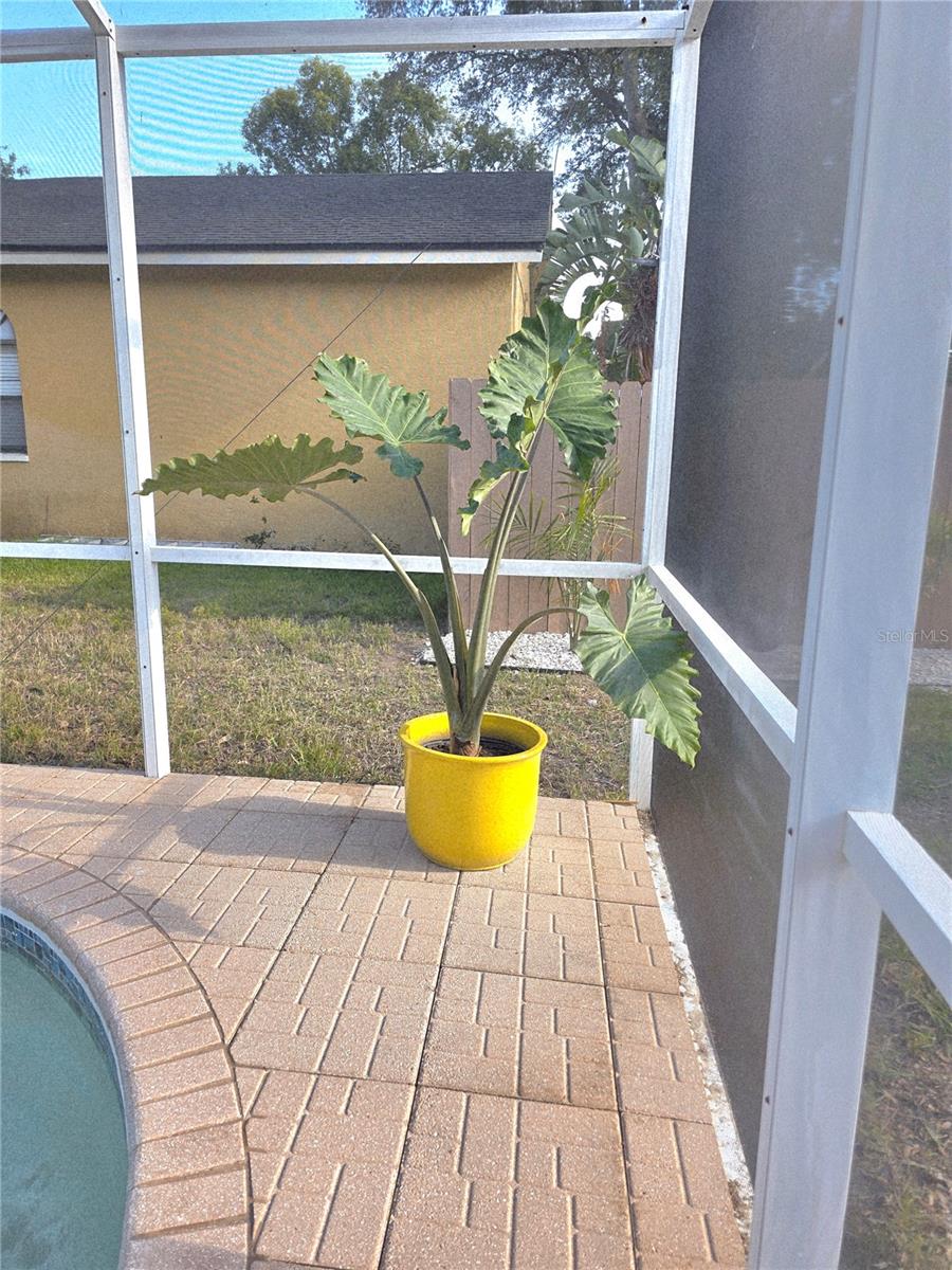 2796 CHALLENGER DR, PALM HARBOR, FL, 34683