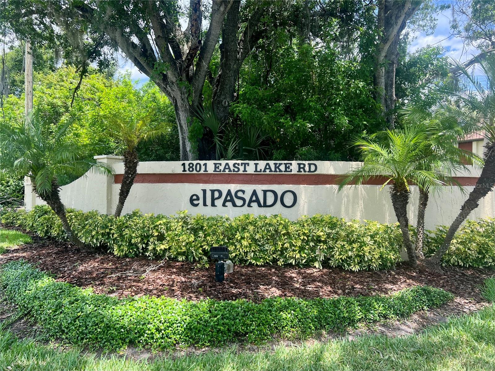 1801 E LAKE RD #17C, PALM HARBOR, FL, 34685