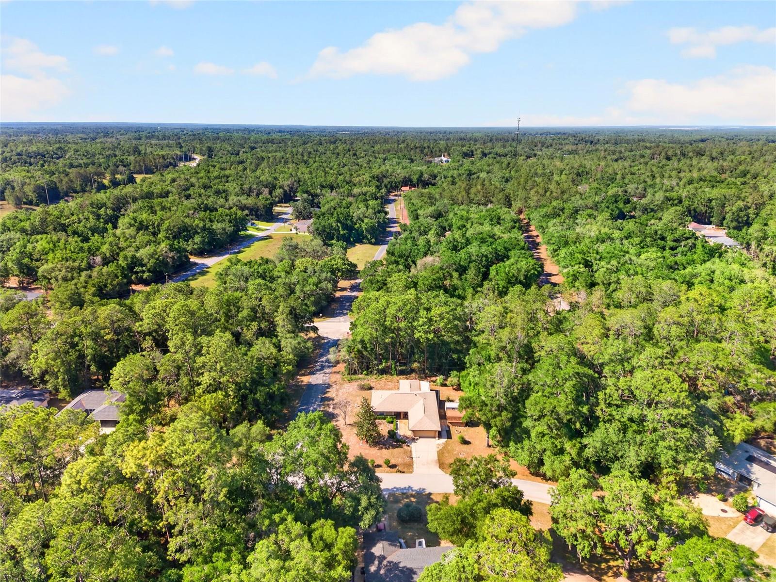 10936 N AIRWAY LOOP, CITRUS SPRINGS, FL, 34434