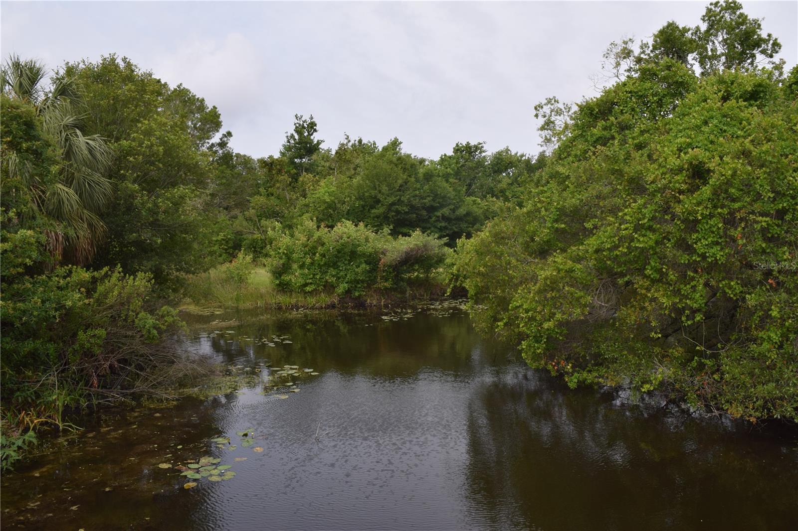 6534 WAYNE ST, ST PETERSBURG, FL, 33702