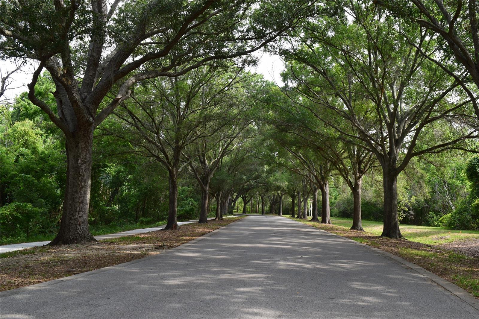 6534 WAYNE ST, ST PETERSBURG, FL, 33702