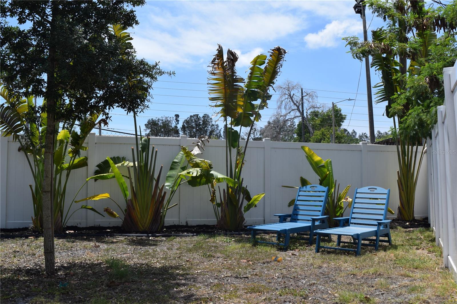 6534 WAYNE ST, ST PETERSBURG, FL, 33702