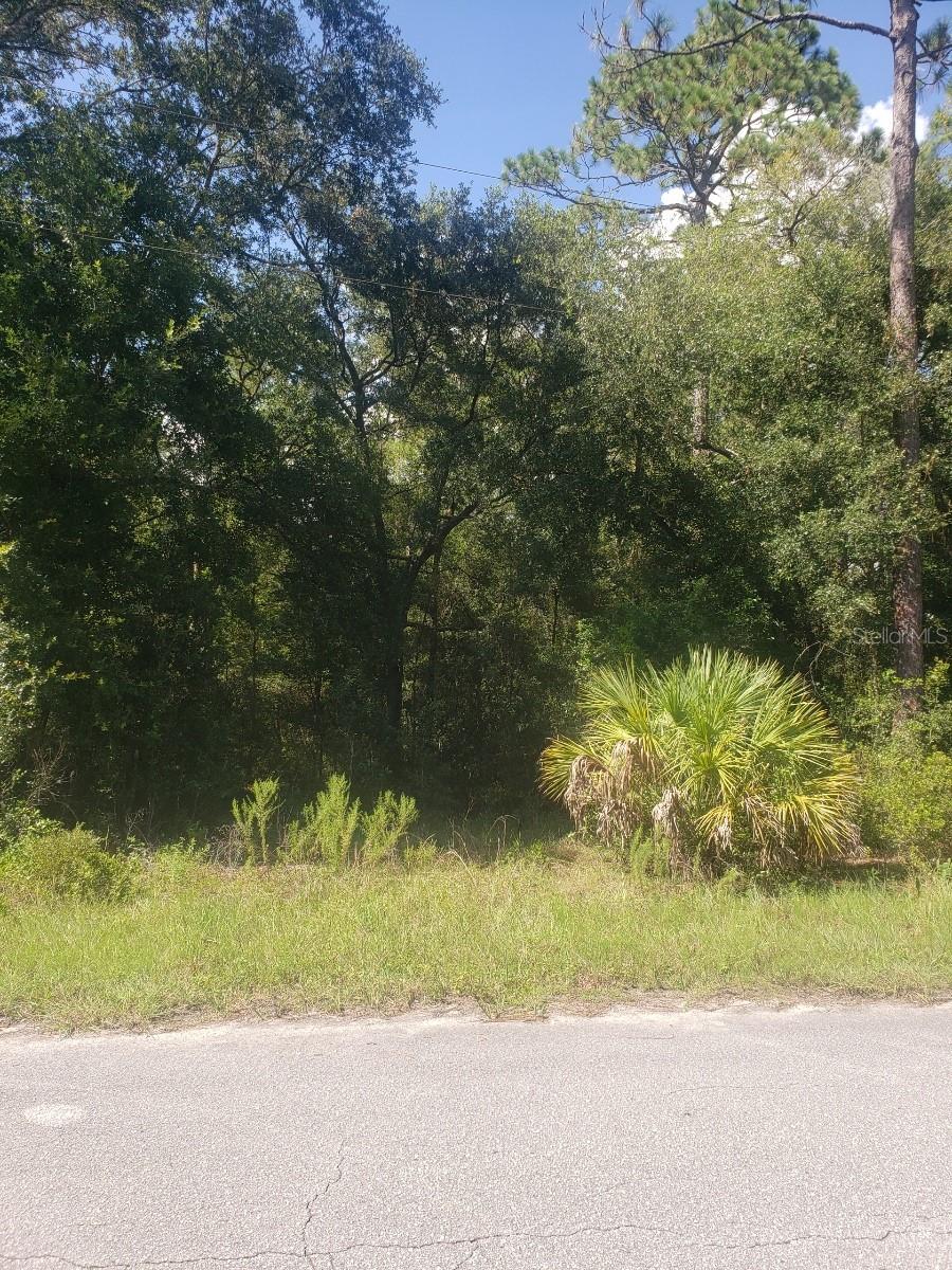 2949 W GRAPEVINE CT, DUNNELLON, FL, 34433