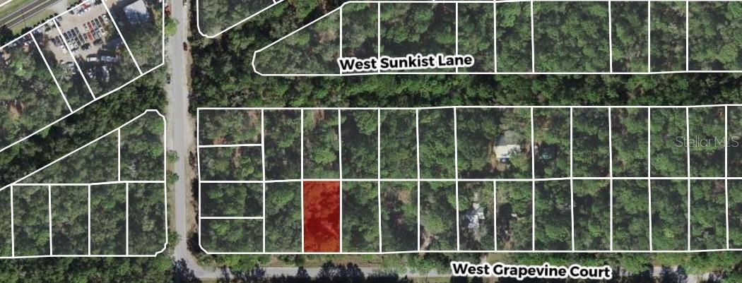 2949 W GRAPEVINE CT, DUNNELLON, FL, 34433