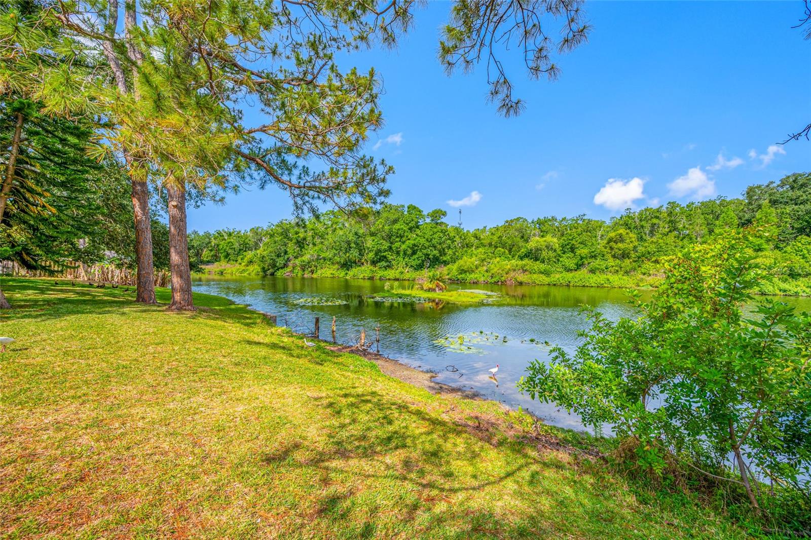 4448 RANCHWOOD LN, TAMPA, FL, 33624