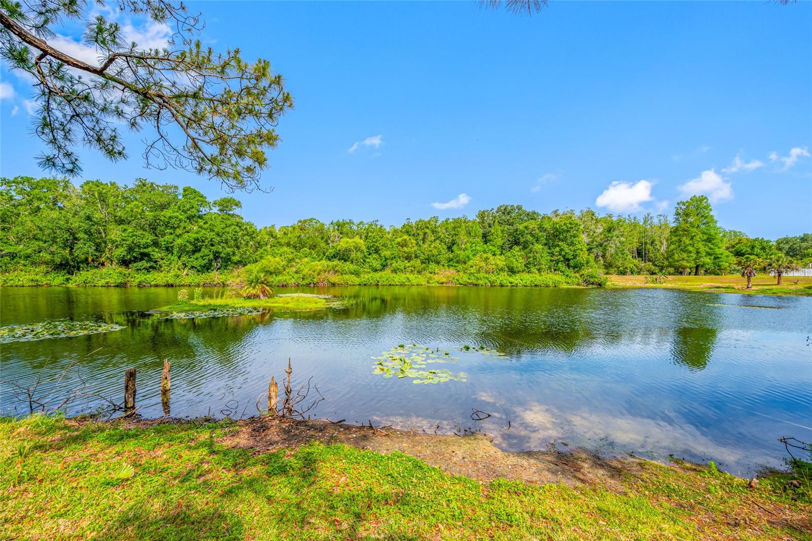 4448 RANCHWOOD LN, TAMPA, FL, 33624