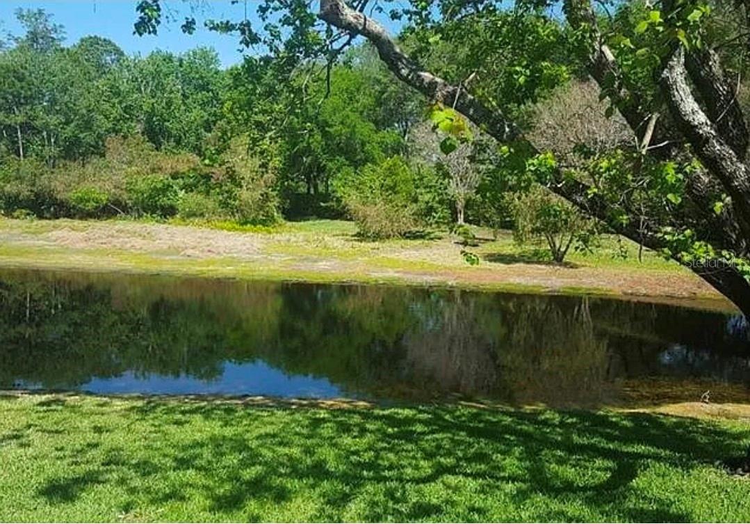 4730 WRENTHAM PL, PALM HARBOR, FL, 34685