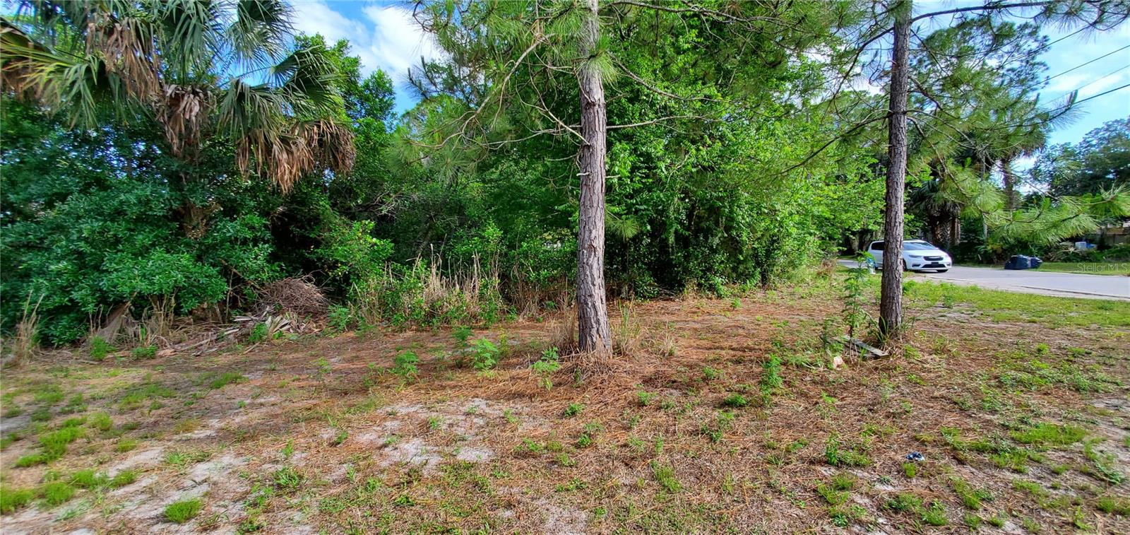 355 CHINABERRY AVE, OVIEDO, FL, 32765