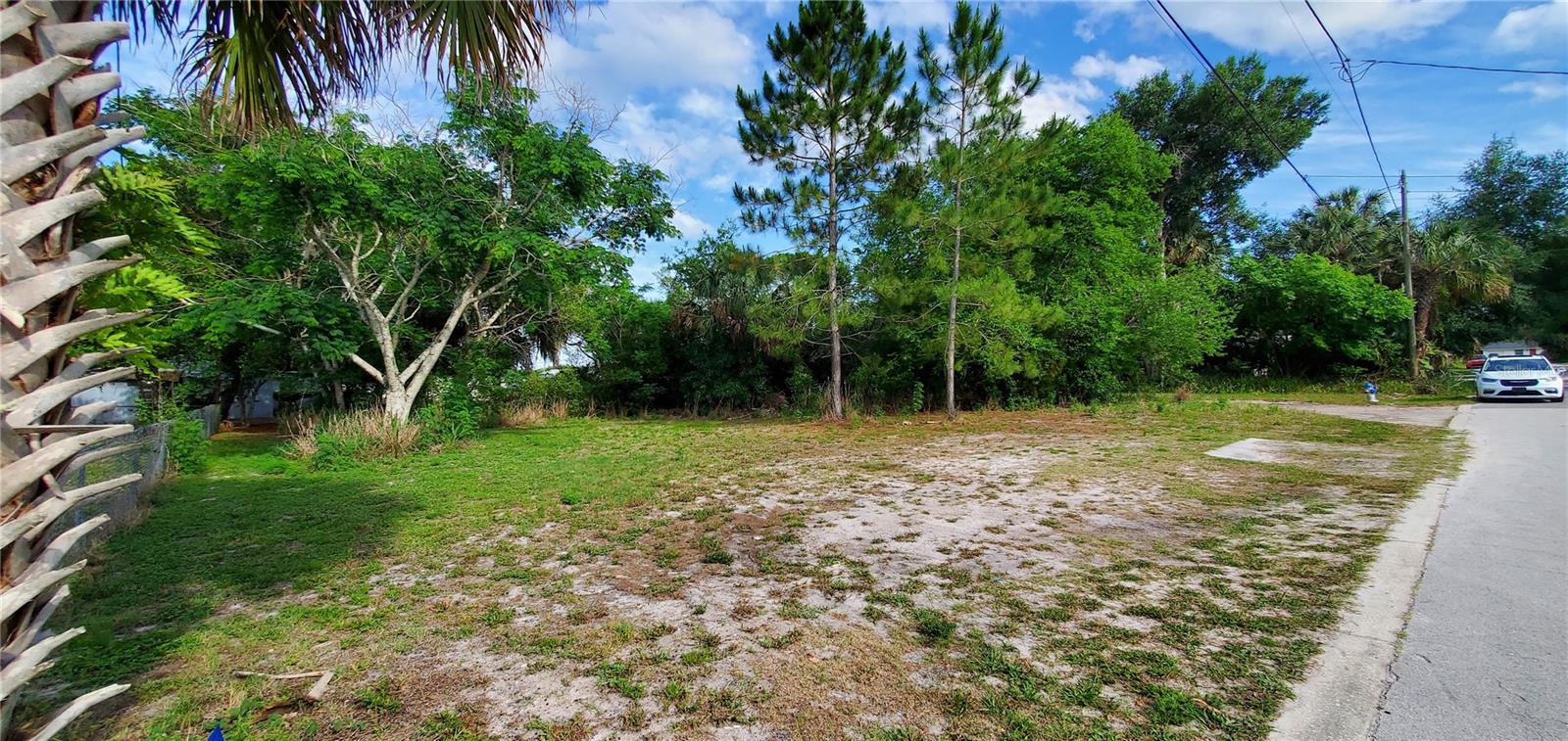 355 CHINABERRY AVE, OVIEDO, FL, 32765