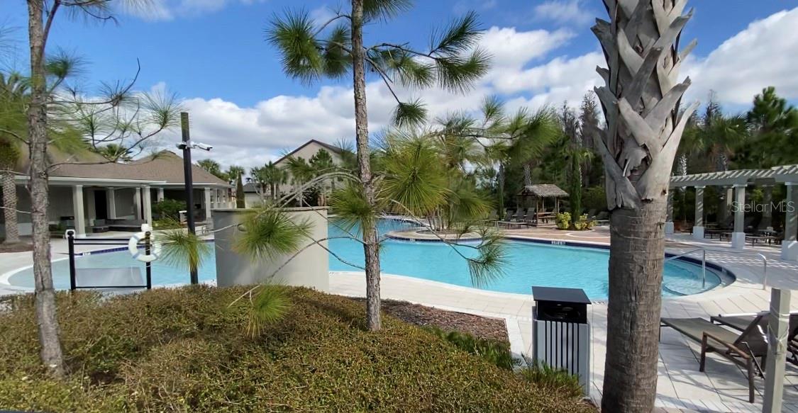 32935 KALOKO RD, WESLEY CHAPEL, FL, 33543