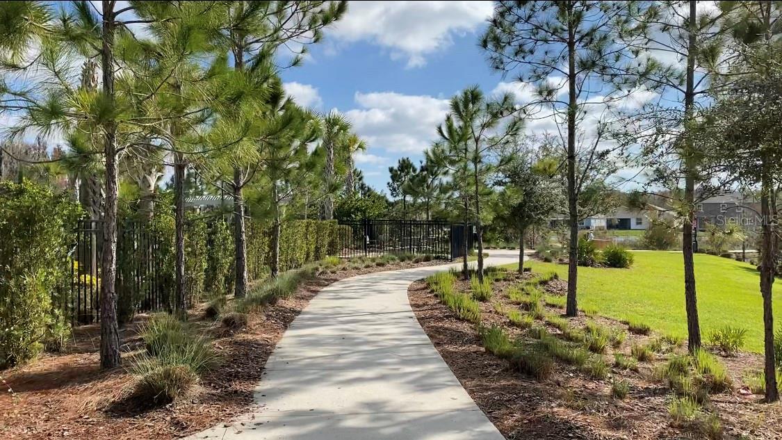 32935 KALOKO RD, WESLEY CHAPEL, FL, 33543