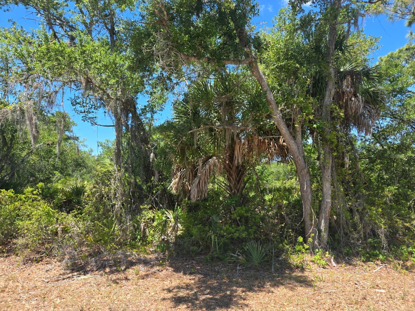 3137 CALEXICO ST, PORT CHARLOTTE, FL, 33948