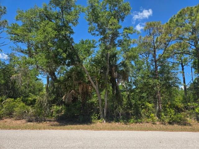 3137 CALEXICO ST, PORT CHARLOTTE, FL, 33948