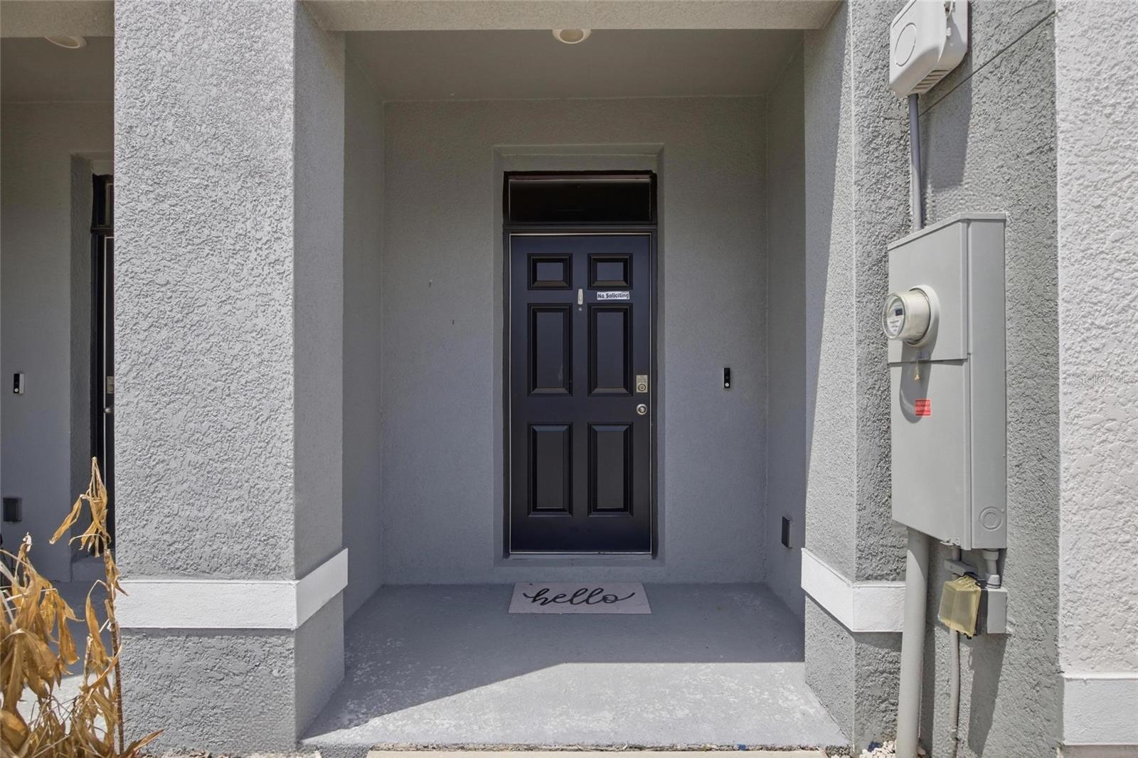32389 TURTLE GRACE LOOP, WESLEY CHAPEL, FL, 33545