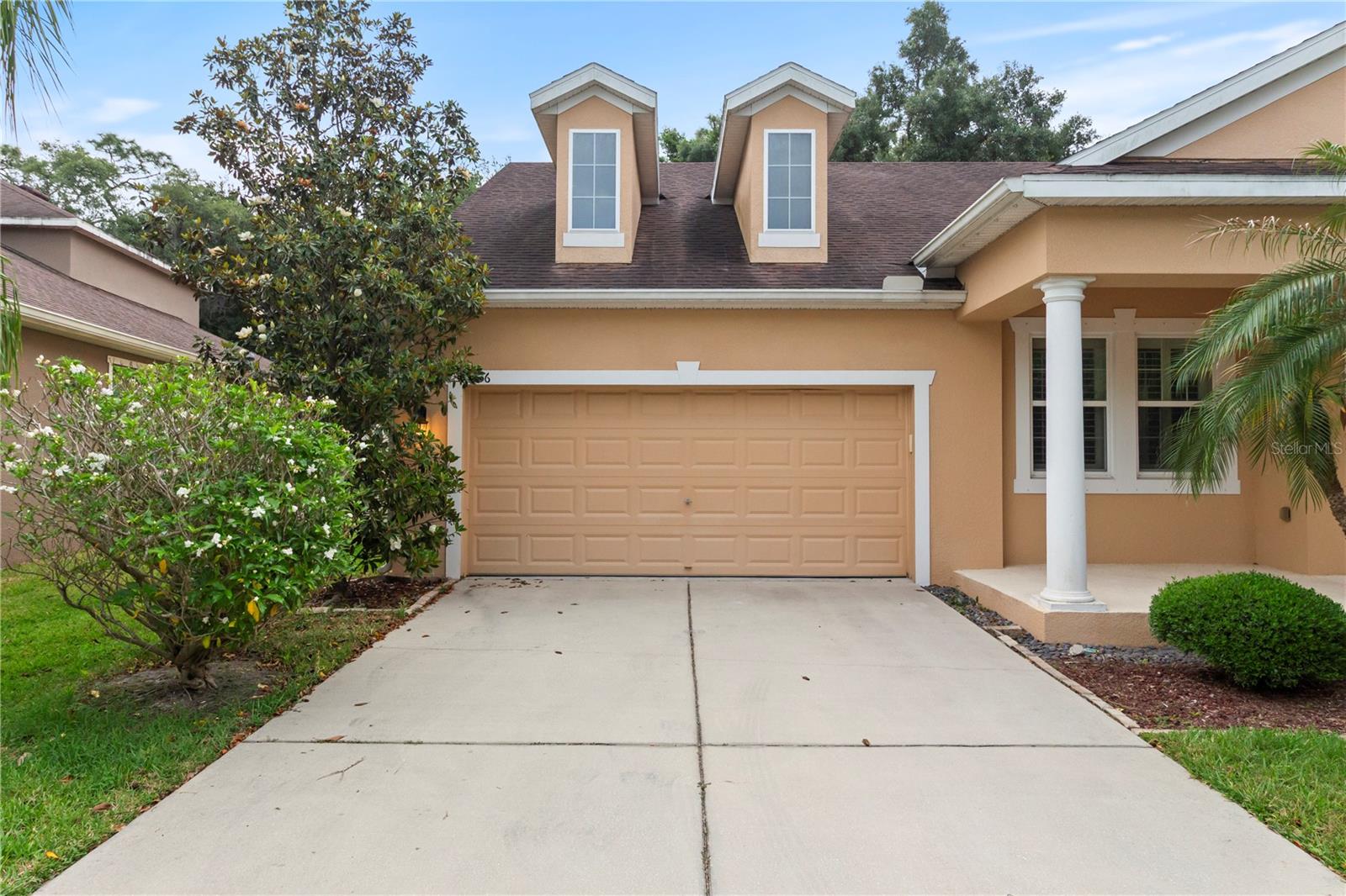 6936 ROCKY CANYON WAY, TAMPA, FL, 33625
