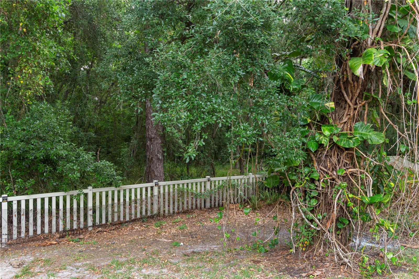 6936 ROCKY CANYON WAY, TAMPA, FL, 33625