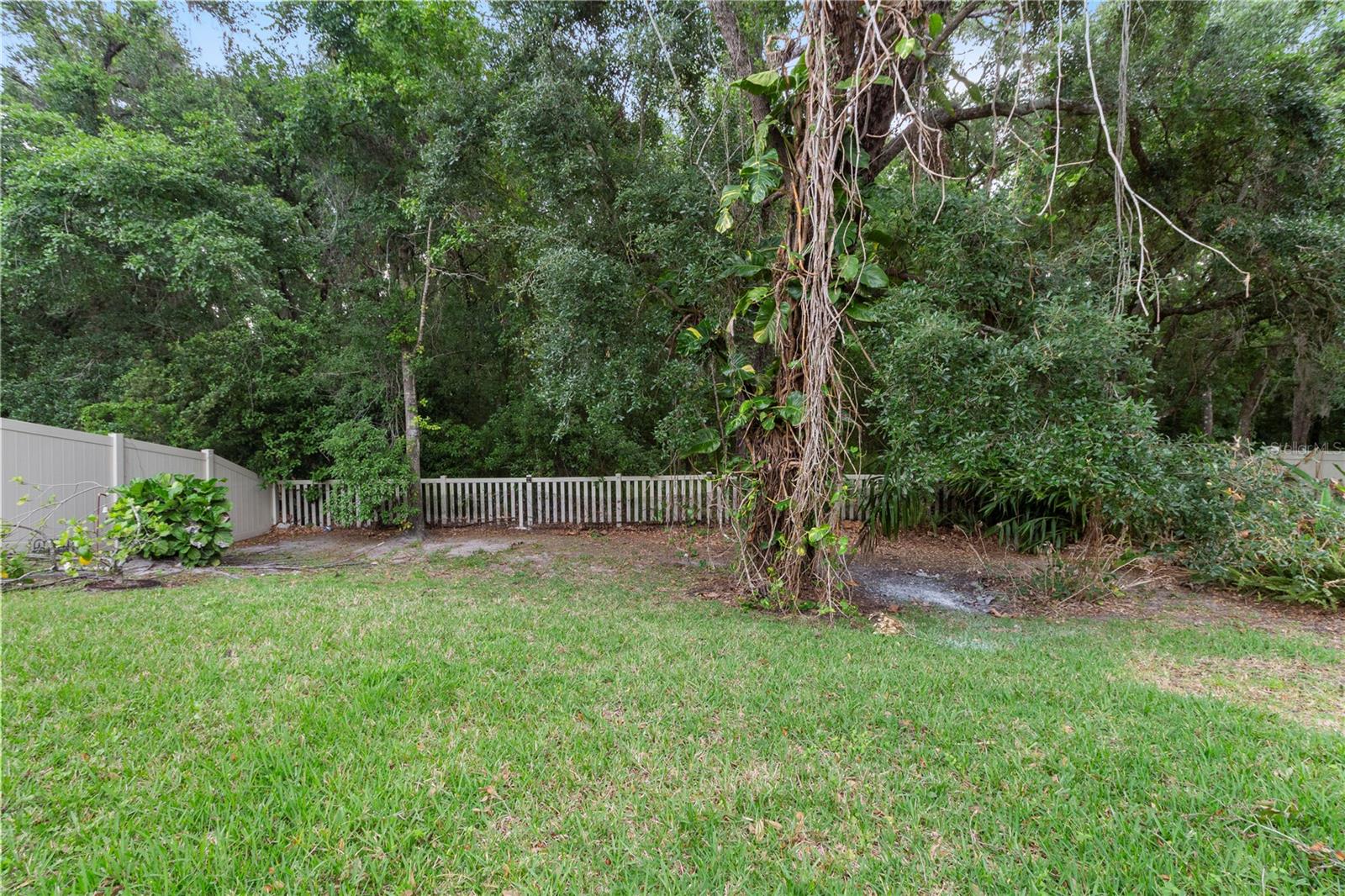 6936 ROCKY CANYON WAY, TAMPA, FL, 33625