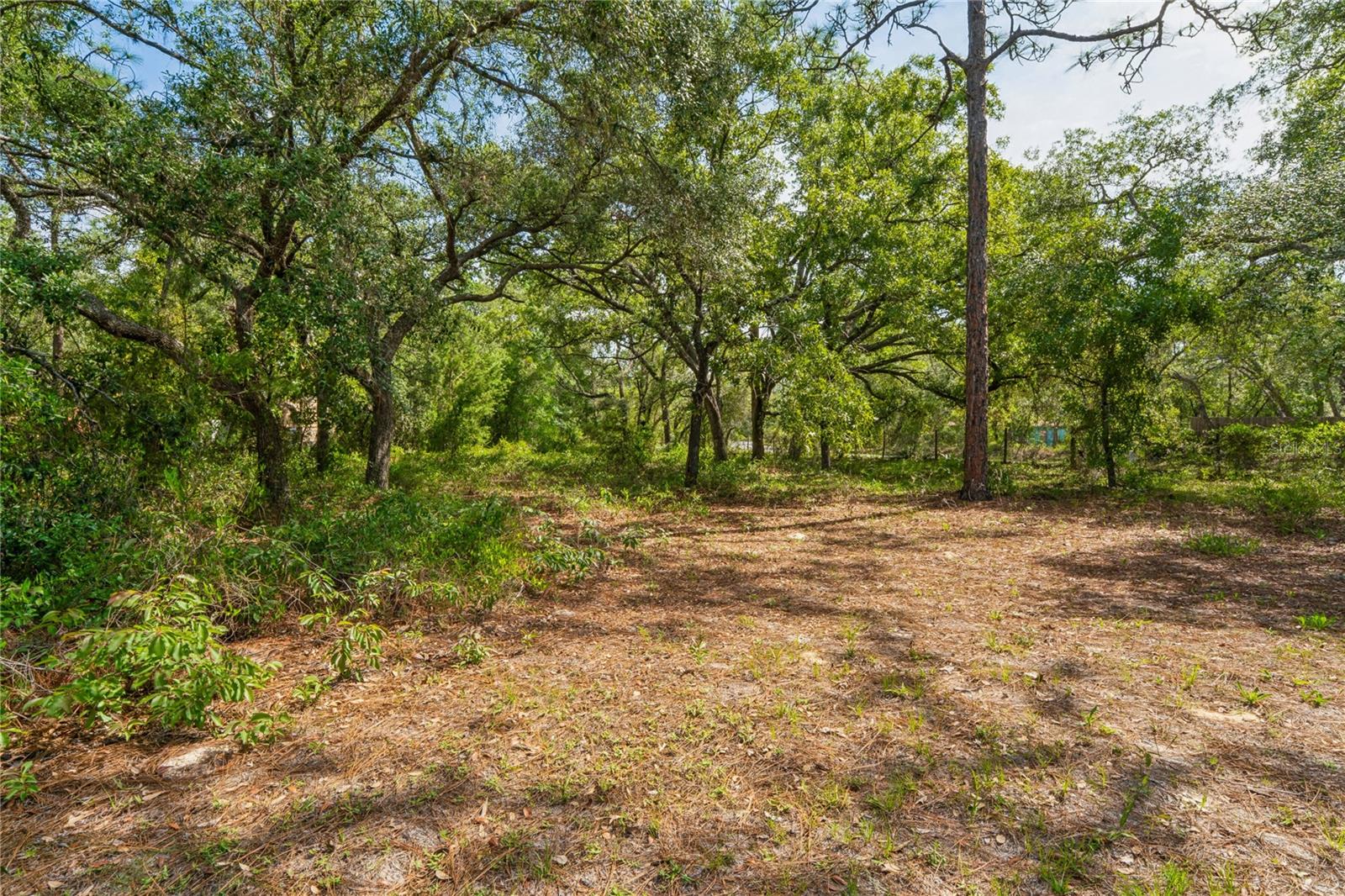14345 MISSOURI SKYLARK RD, WEEKI WACHEE, FL, 34614