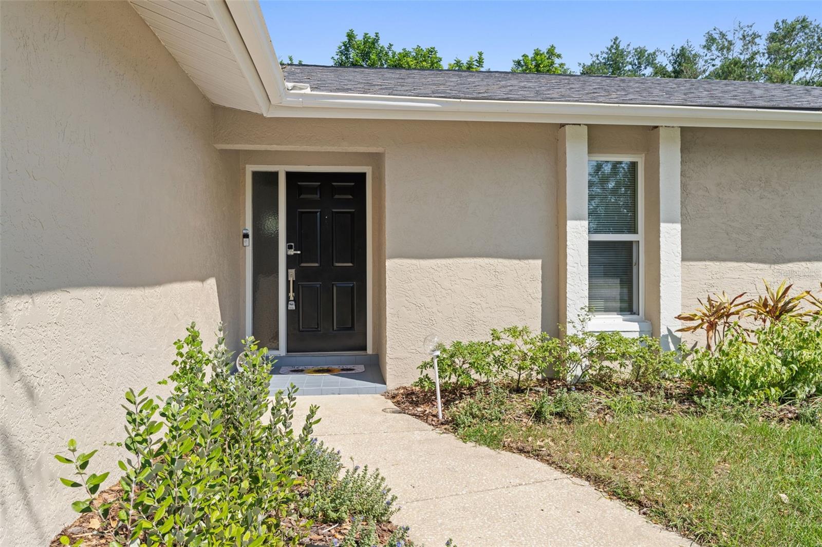 3298 ORCHARD DR, PALM HARBOR, FL, 34684