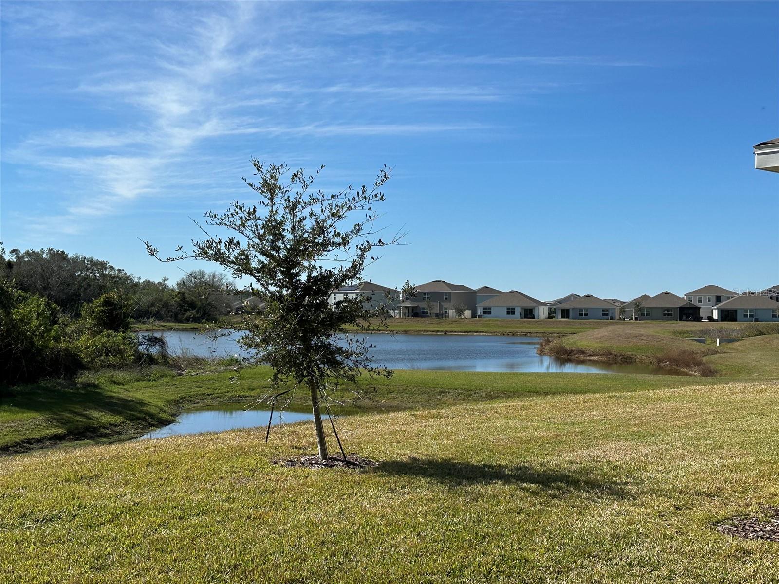 17637 CANTARINA CV, BRADENTON, FL, 34211