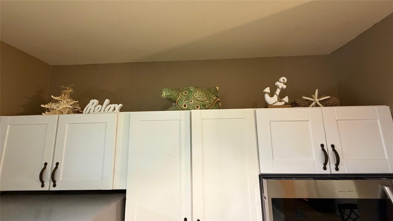 1226 S MISSOURI AVE #1019, CLEARWATER, FL, 33756