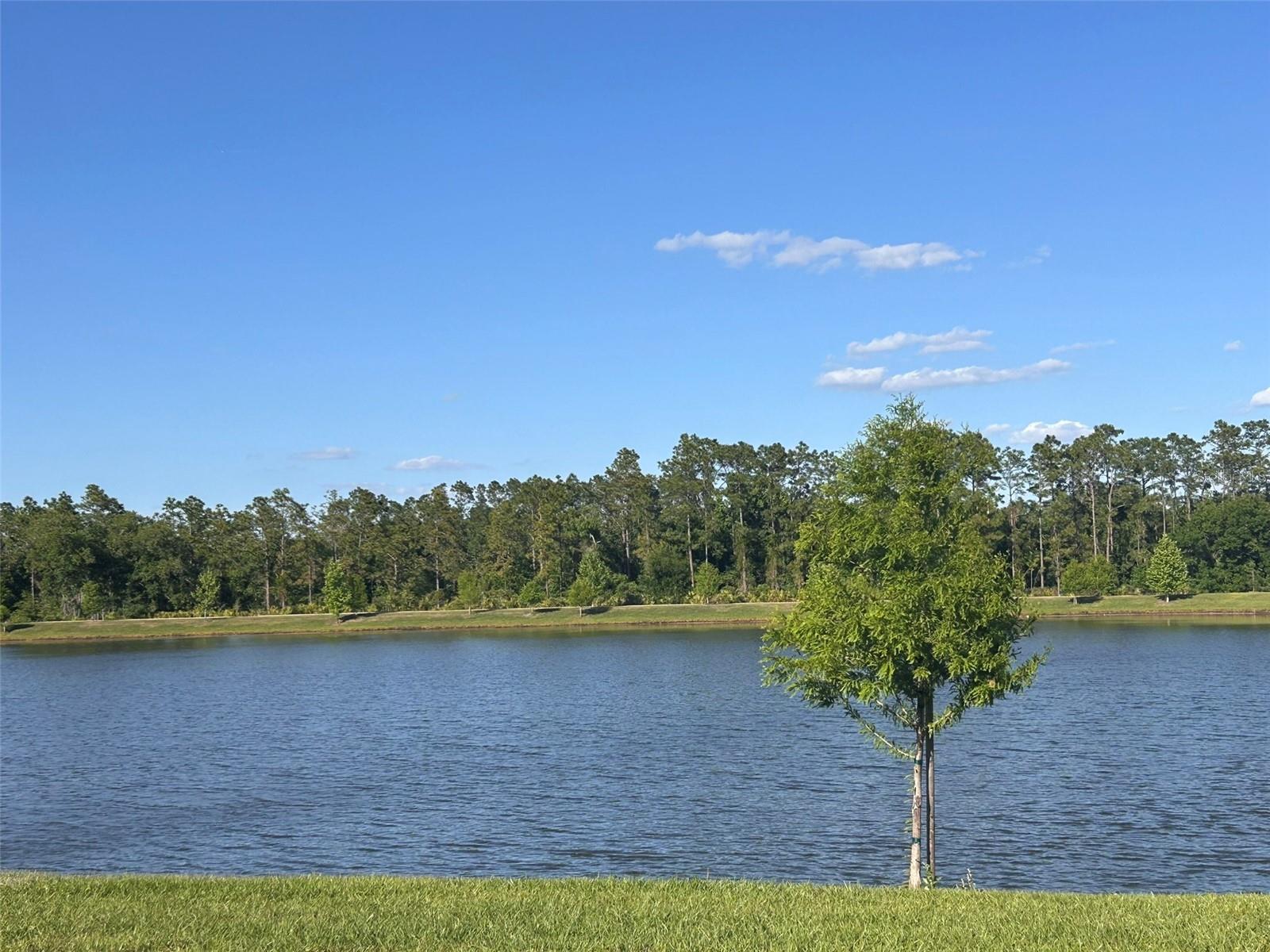 4891 SHADY PINES DRIVE, ST CLOUD, FL, 34772