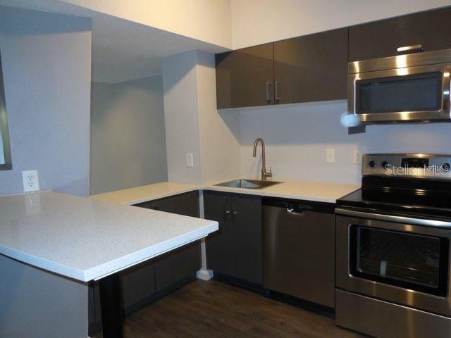 2411 W HORATIO ST #524, TAMPA, FL, 33609