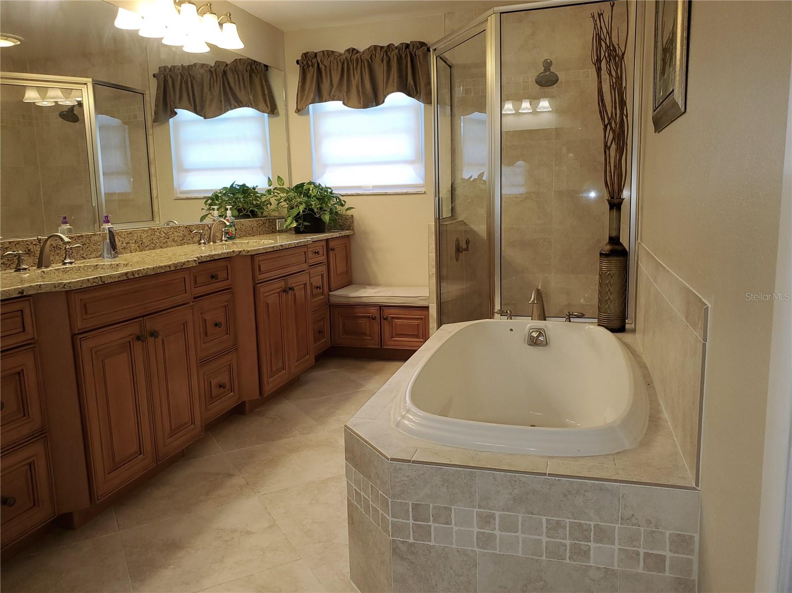4029 BELL GRANDE DR, VALRICO, FL, 33596