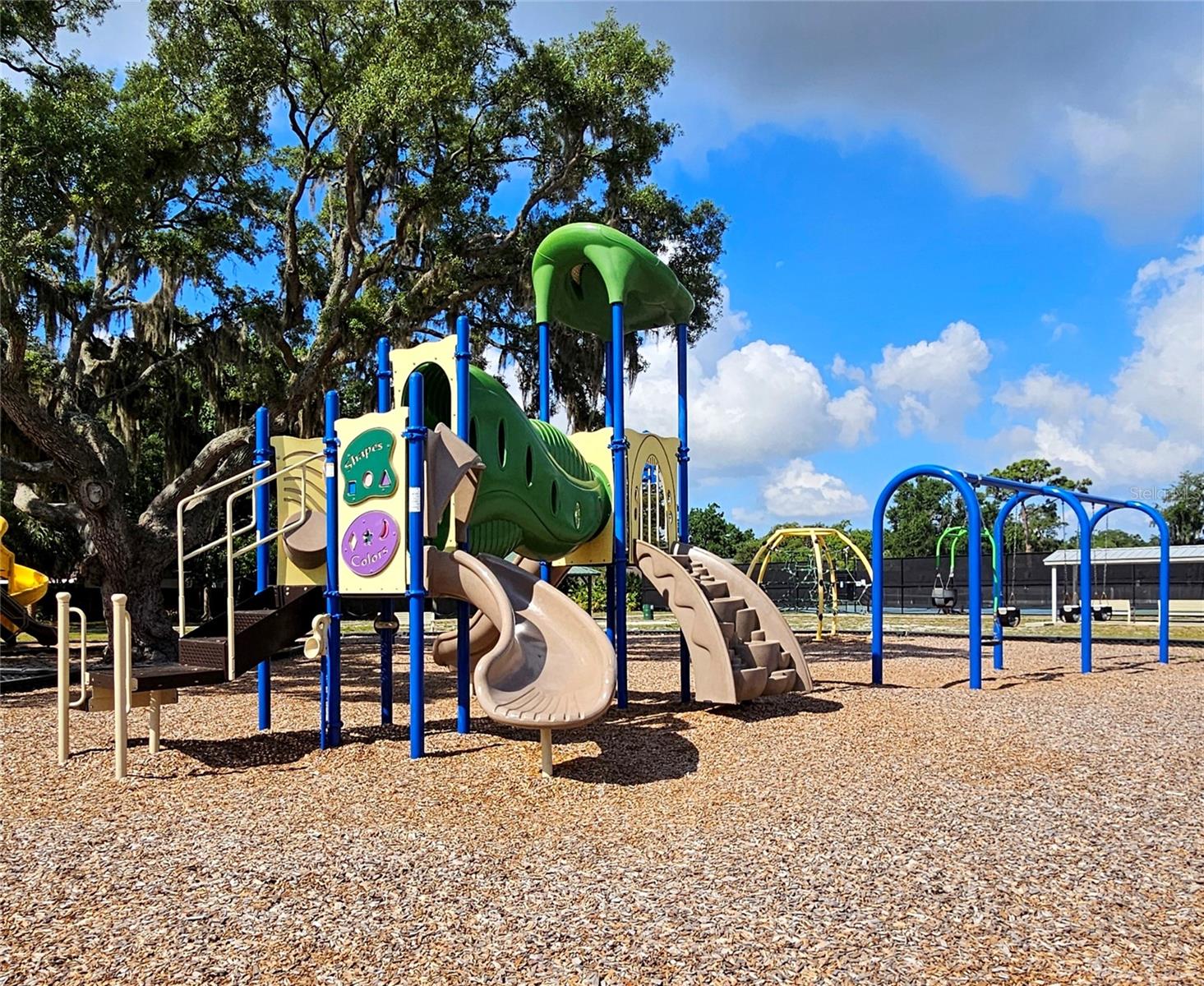4029 BELL GRANDE DR, VALRICO, FL, 33596