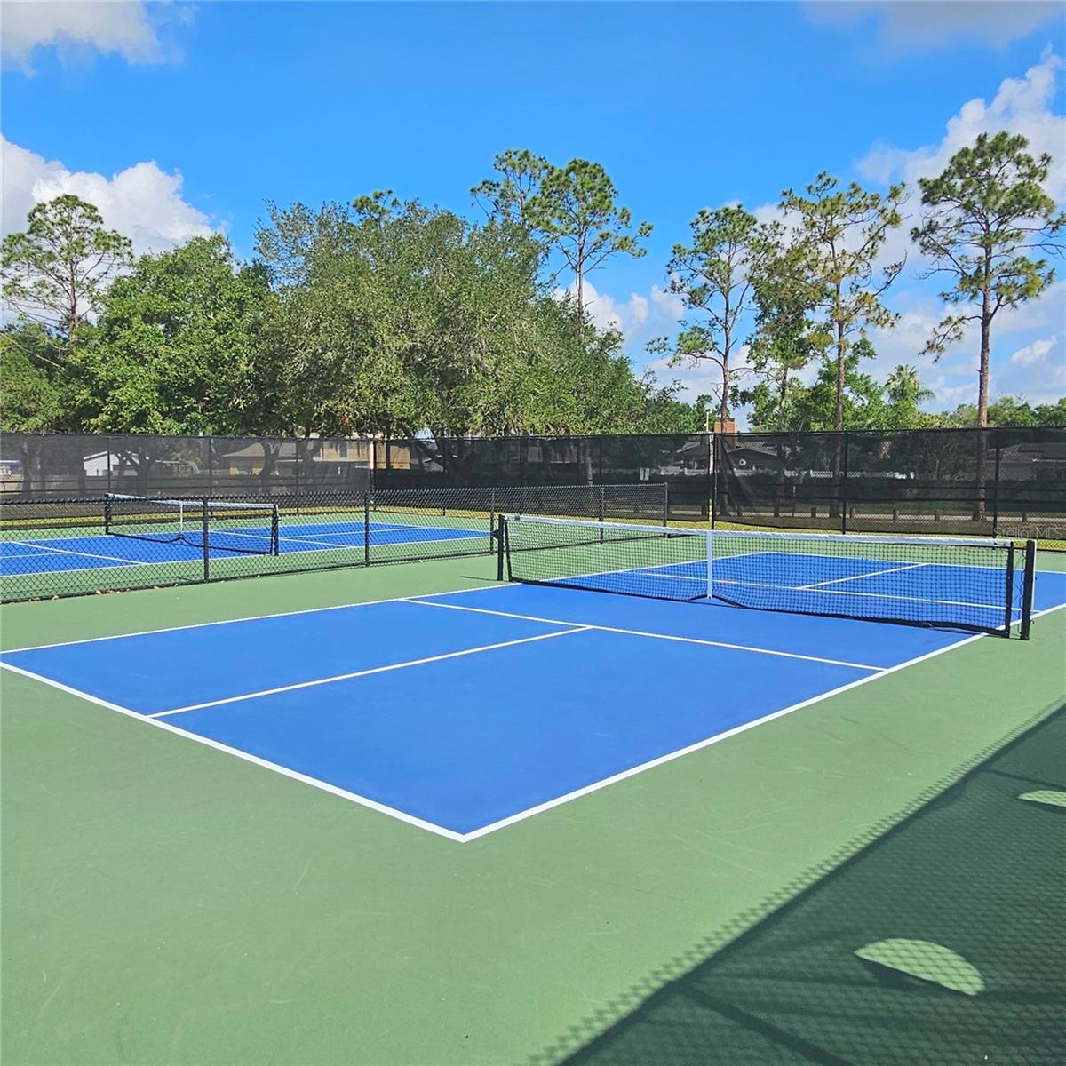 4029 BELL GRANDE DR, VALRICO, FL, 33596
