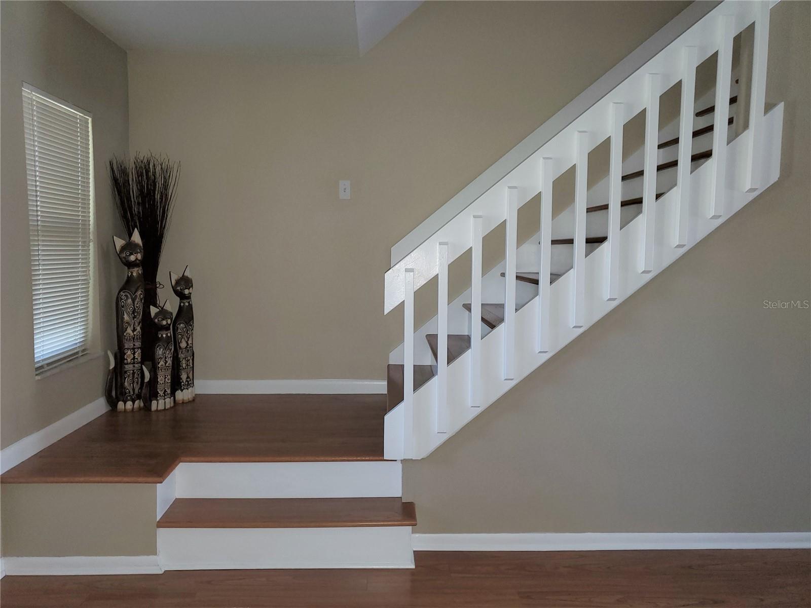 4029 BELL GRANDE DR, VALRICO, FL, 33596
